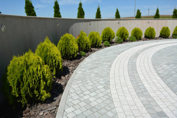 Best Driveway Repair Near Me  in Loomis, CA